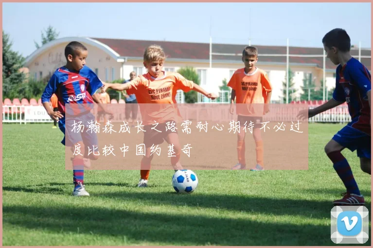 杨瀚森成长之路需耐心期待不必过度比较中国约基奇