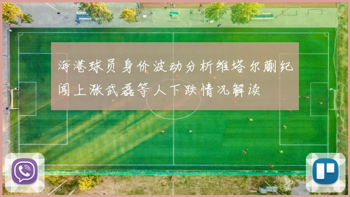 海港球员身价波动分析维塔尔蒯纪闻上涨武磊等人下跌情况解读