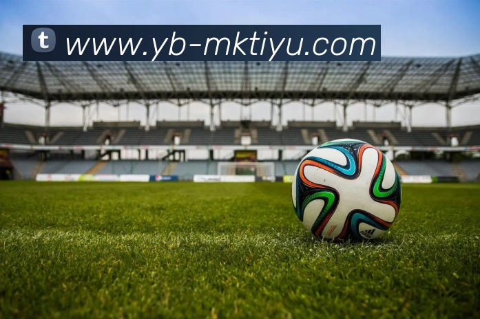 MK体育平台生态图