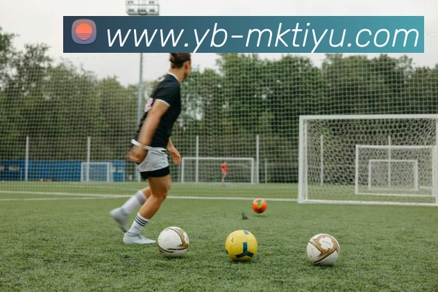 MK体育APP 封面图